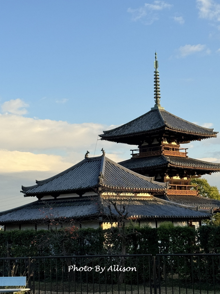 －＞奈良賞楓--飄浮在水上的中宮寺 + 擁有日本最古老的三重