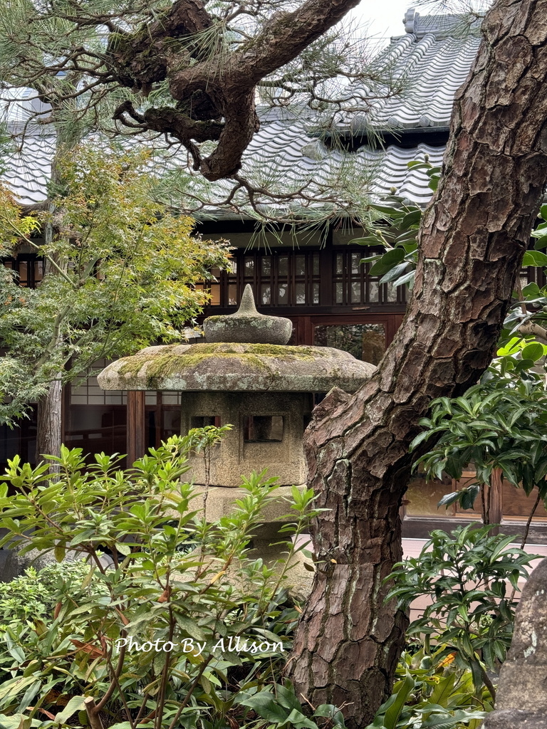 －＞發現新奈良：建築師内藤廣操刀設計「中川政七商店」全新型態