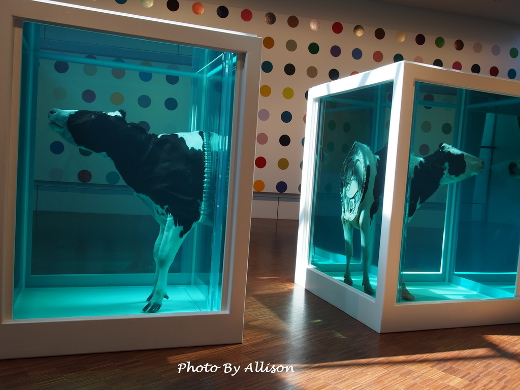 －＞邀請陽光一起創作的阿肯美術館Arken Museum o