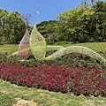 IMG_7475.JPG