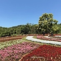 IMG_7536.JPG