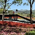IMG_7580.JPG