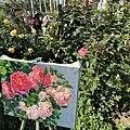 IMG_7632.JPG
