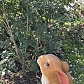IMG_7667.JPG