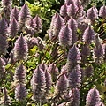 IMG_7670.JPG