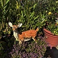 IMG_7694.JPG