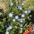 IMG_7712.JPG