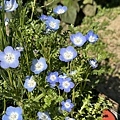 IMG_7714.JPG