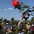 IMG_7732.JPG