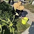 IMG_7742.JPG