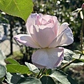 IMG_7745.JPG