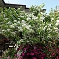 DSC01467.JPG