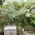 DSC01439.JPG