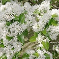 DSC01457.JPG