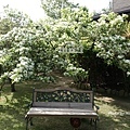 DSC01469.JPG