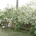 DSC01481.JPG