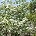 DSC01493.JPG