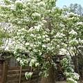 DSC01503.JPG