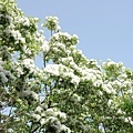 DSC01540.JPG