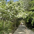 IMG_7973.JPG