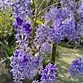 IMG_7997.JPG