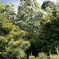 IMG_8012.JPG
