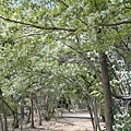 IMG_8087.JPG