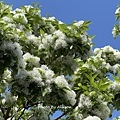 IMG_8126.JPG