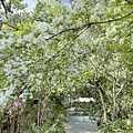 IMG_8149.JPG