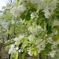 IMG_8145.JPG