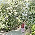 IMG_8165.JPG