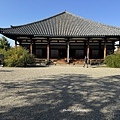 IMG_7565.JPG