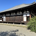 IMG_7567.JPG