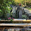 IMG_7577.JPG