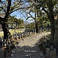 IMG_7583.JPG