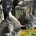IMG_7590.JPG
