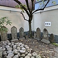 IMG_7596.JPG