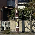 IMG_7644.JPG