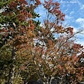 IMG_8127.JPG