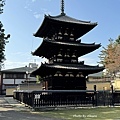 IMG_8129.JPG