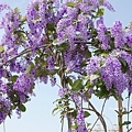 DSC01584.JPG