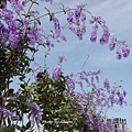 DSC01589.JPG