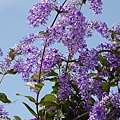 DSC01604.JPG