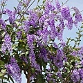 DSC01609.JPG