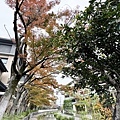 IMG_8701.JPG