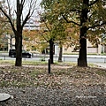 IMG_8736.JPG