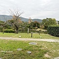 IMG_8872.JPG