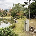 IMG_8991.JPG