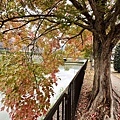 IMG_9033.JPG