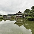 IMG_8920.JPG